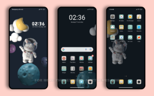 3D Space Rabbit MIUI Theme